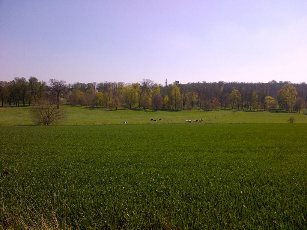 (Campus caché dans le parc )