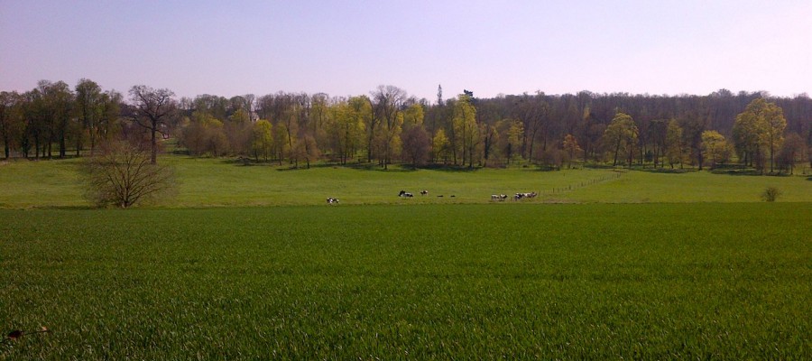 (Campus caché dans le parc )