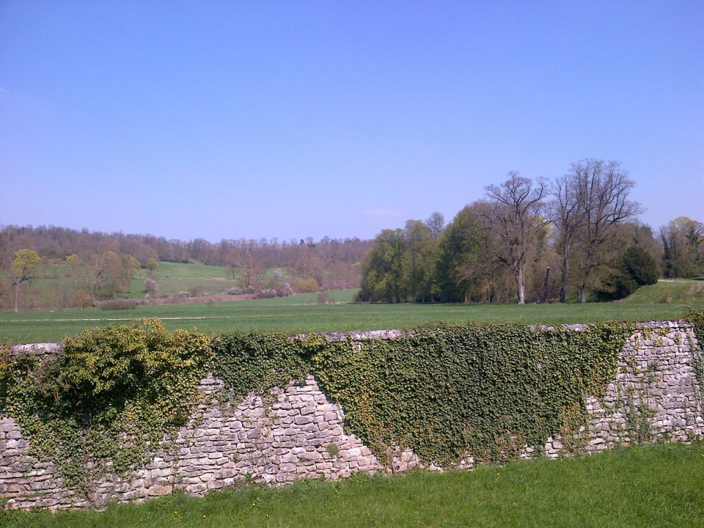 (Vue du parc depuis le château)