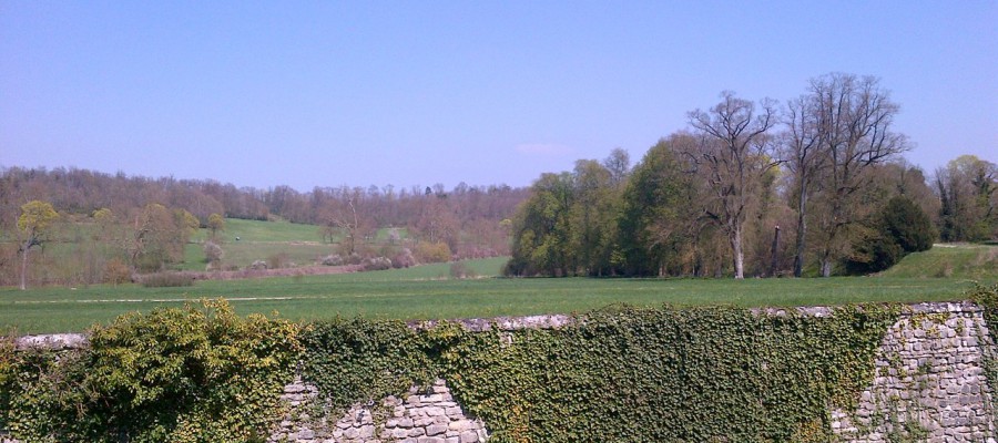 (Vue du parc depuis le château)